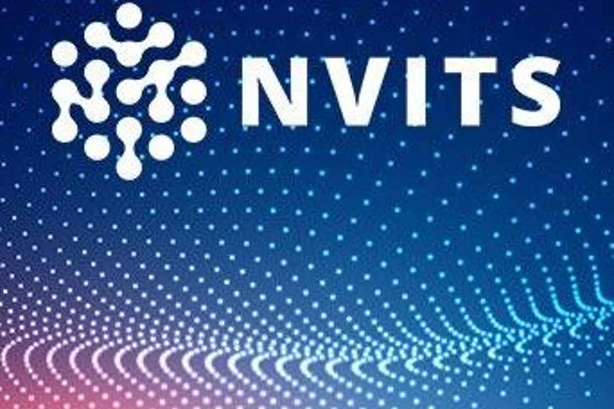 NVITS Expertize